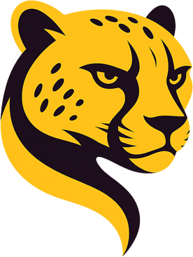 Cheetah  Tool PRO - 1 Year  ACTIVATION  AUTO API