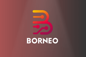 BORNEO 2 USER LICENSE 3 MONTHS ( NEW / RENEW )